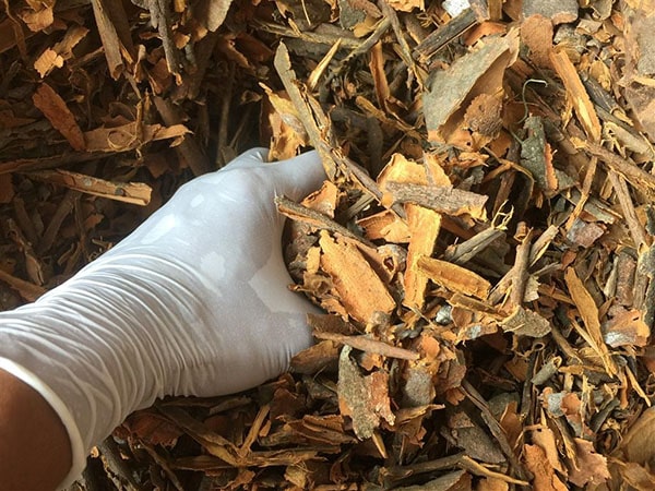 Quế vụn xuất khẩu Quế vụn xuất khẩu