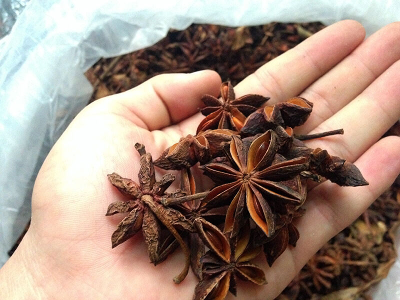 Hoa Hồi (Đại Hồi)- 100g hoa hoi la gi loi ich cua hoa hoi va nhung cach su dung hoa hoi 202009151237459437 - Hoa Hồi (Đại Hồi)- 100g