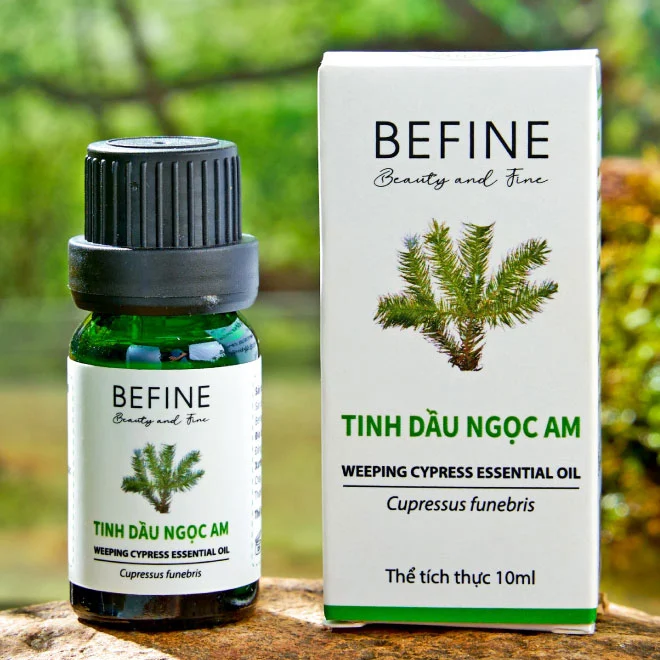 Tinh dầu Ngọc Am Tinh dầu Ngọc Am