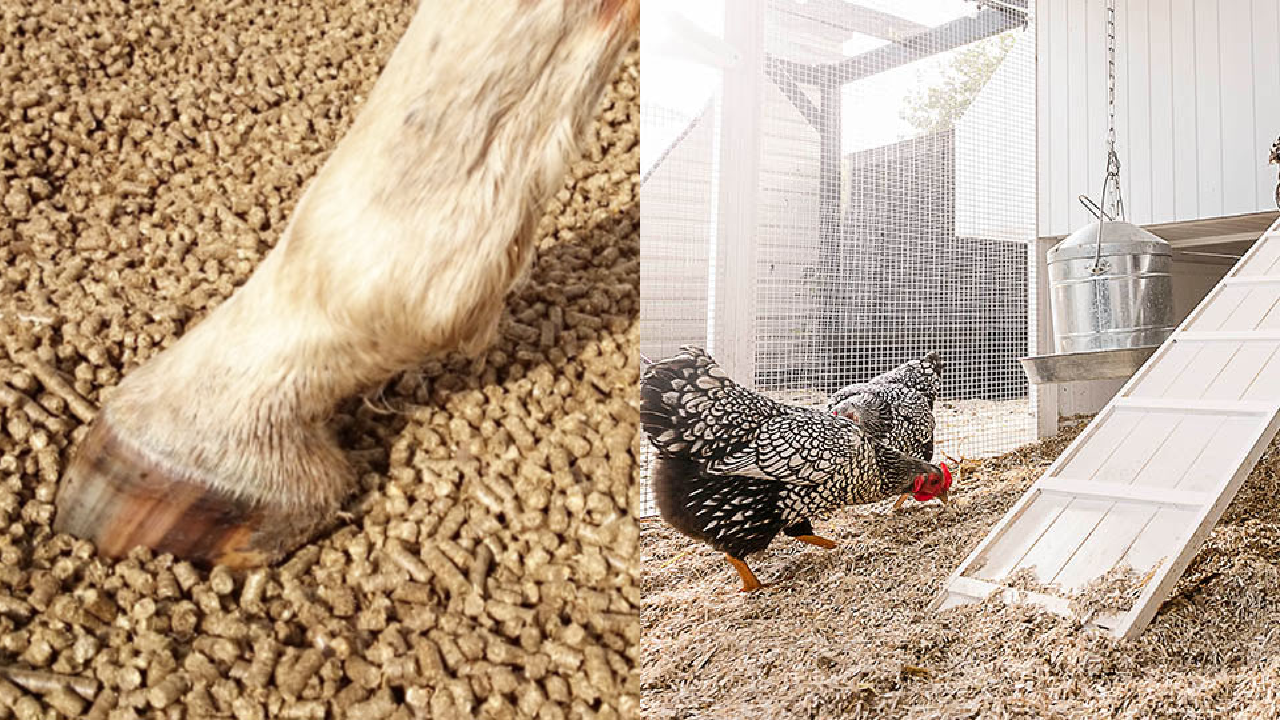CÔNG TY TNHH THƯƠNG MẠI DỊCH VỤ KỸ THUẬT NÔNG NGHIỆP PHÁT NGHĨA