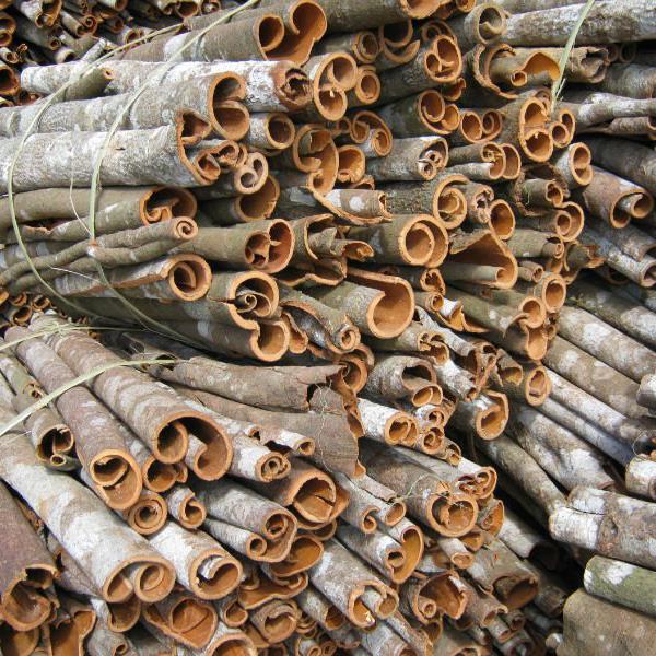 Quế ống xuất khẩu Quế ống xuất khẩu