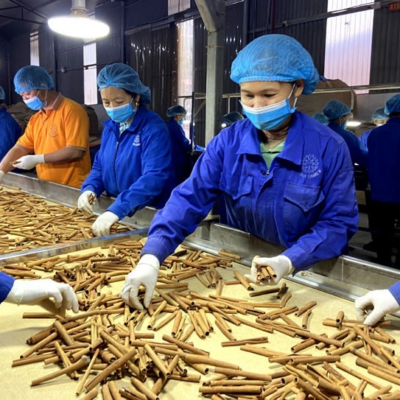 Thủ tục xuất khẩu tinh dầu các loại